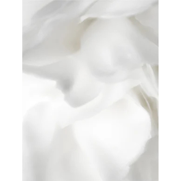 Sérum en Gel con Prebióticos y Ácido Hialurónico 30ml – Equilibra, Hidrata y Protege la Piel (Bioactive Prebiotics Jelly Serum 30ml.)